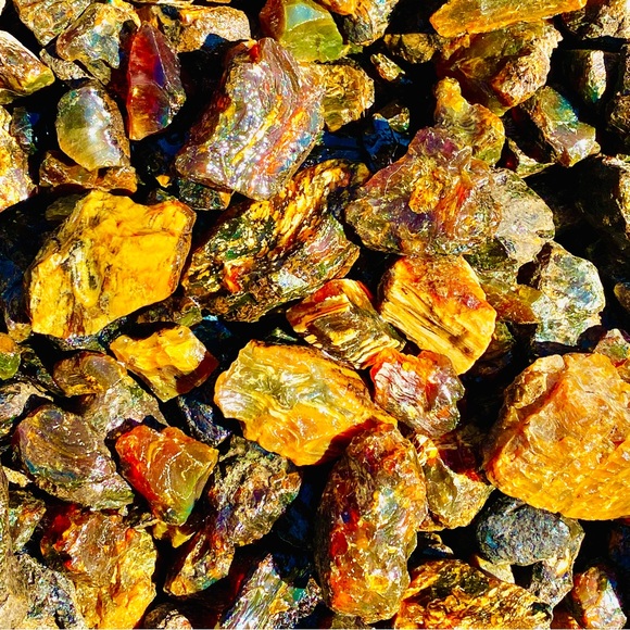 UV Active Indonesian Copal Amber Tree Resin Raw Rough Crystal Natural Mineral - Picture 11 of 12